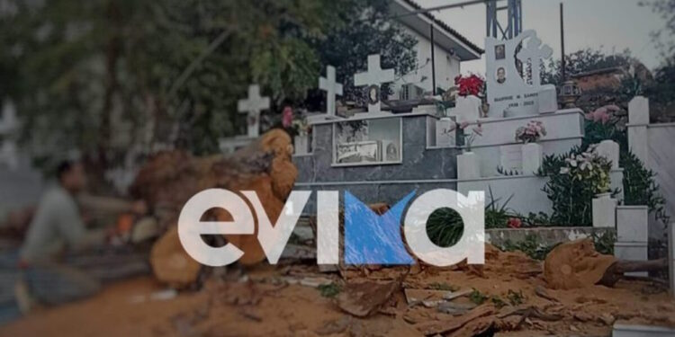 Κακοκαιρία Byron: Σοκαριστικές εικόνες καταστροφής σε νεκροταφείο στην Εύβοια – Δέντρο έπεσε πάνω σε τάφους