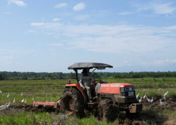Αγρότες: Στα 500 εκατ. ευρώ οι πληρωμές μέχρι την Παρασκευή – Εξετάζεται η παράταση του φθηνού ρεύματος