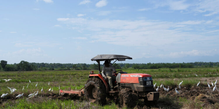 Αγρότες: Στα 500 εκατ. ευρώ οι πληρωμές μέχρι την Παρασκευή – Εξετάζεται η παράταση του φθηνού ρεύματος