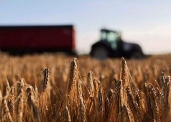 ΟΠΕΚΕΠΕ: Άνοιξε το σύστημα για διορθώσεις στην Ενιαία Αίτηση Ενίσχυσης 2025