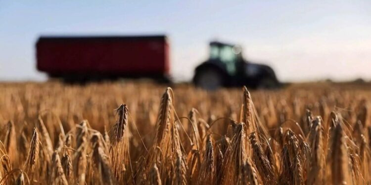 ΟΠΕΚΕΠΕ: Άνοιξε το σύστημα για διορθώσεις στην Ενιαία Αίτηση Ενίσχυσης 2025