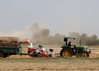 Πρωτοβουλία του ΥΠΑΑΤ για γεωργούς που δεν έλαβαν την βασική ενίσχυση λόγω εκκρεμοτήτων στο Κτηματολόγιο