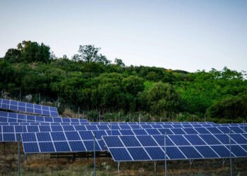 Αρχές του 2026 οι αιτήσεις για αγροβολταϊκά 130 MW με ταρίφα – Τι προβλέπει το νομοσχέδιο του ΥΠΕΝ