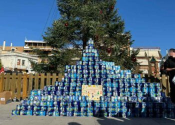 Κάθε χρόνο και ψηλότερο το «Γαλόδεντρο» στο Μεσολόγγι