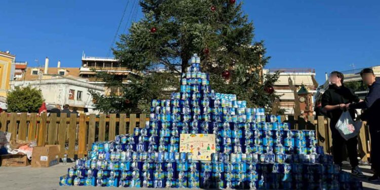 Κάθε χρόνο και ψηλότερο το «Γαλόδεντρο» στο Μεσολόγγι