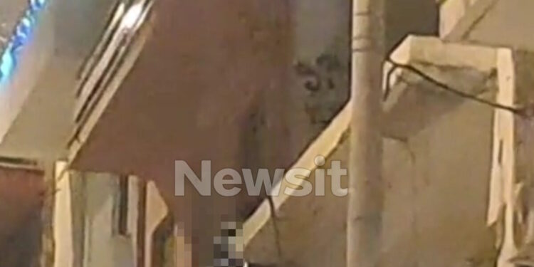 Γκύζη: Το δράμα πίσω από την οικογενειακή τραγωδία – Το σημείωμα και το τραγικό φινάλε με τη βουτιά θανάτου