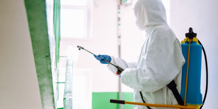 Τεχνικές απεντόμωσης: ολοκληρωμένες λύσεις για κατοικίες και επαγγελματικούς χώρους.