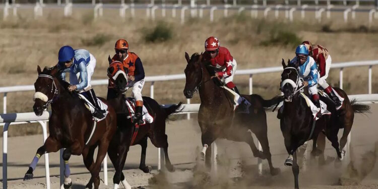 Υπερταμείο: Σε διαγωνισμό η αξιοποίηση του ακινήτου «Ολυμπιακό Ιππικό Κέντρο Μαρκόπουλου»