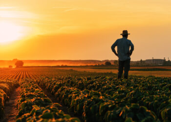 Όλα τα μέτρα ενίσχυσης των αγροτών που ανακοίνωσε ο Κυριάκος Μητσοτάκης: Η μείωση του ενεργειακού κόστους και το όφελος για τους παραγωγούς