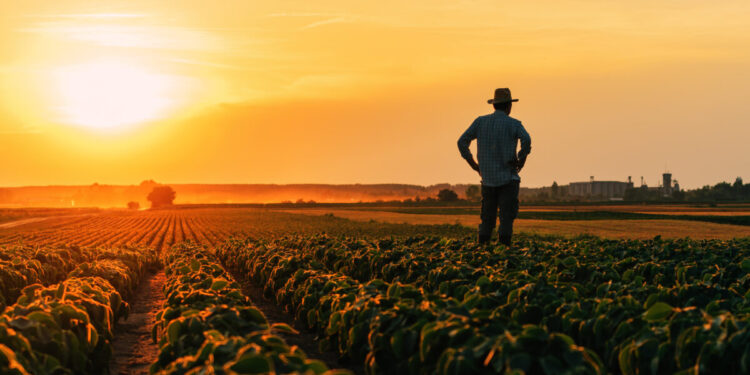Όλα τα μέτρα ενίσχυσης των αγροτών που ανακοίνωσε ο Κυριάκος Μητσοτάκης: Η μείωση του ενεργειακού κόστους και το όφελος για τους παραγωγούς