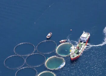 Υδατοκαλλιέργειες: Κατά 10,2% μειώθηκε η παραγωγή το 2024