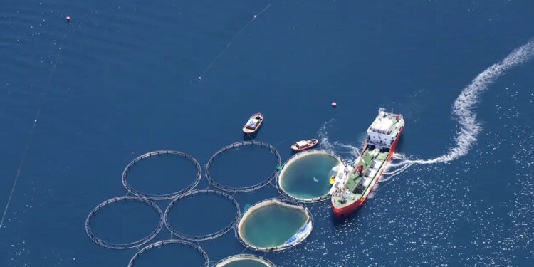 Υδατοκαλλιέργειες: Κατά 10,2% μειώθηκε η παραγωγή το 2024