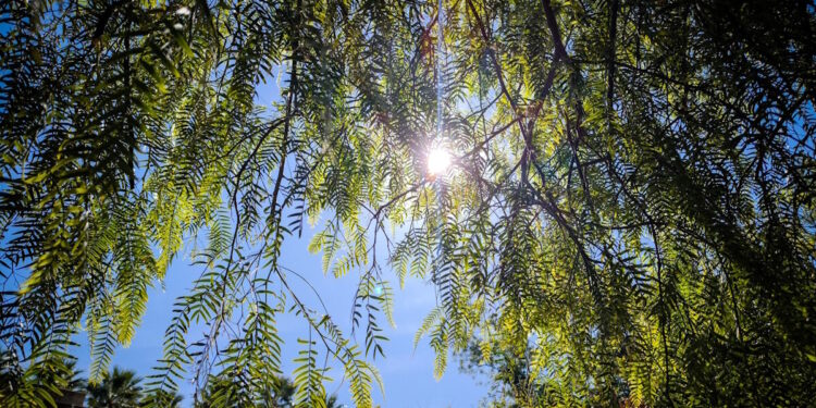 Καιρός σήμερα: Ηλιόλουστος με τοπικές νεφώσεις σε όλη τη χώρα – Αγγίζει τους 20 βαθμούς η θερμοκρασία