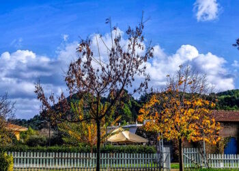 Καιρός αύριο: Ηλιοφάνεια με παροδικές νεφώσεις – Στους 17 βαθμούς η θερμοκρασία στην Αττική