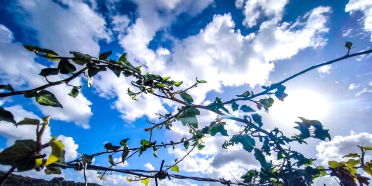 Καιρός σήμερα: Λιακάδα με τοπικές νεφώσεις – Δεν ξεπερνά τους 19 βαθμούς η θερμοκρασία