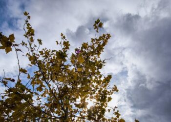 Καιρός αύριο: Άνοδος της θερμοκρασίας σχεδόν σε όλη τη χώρα