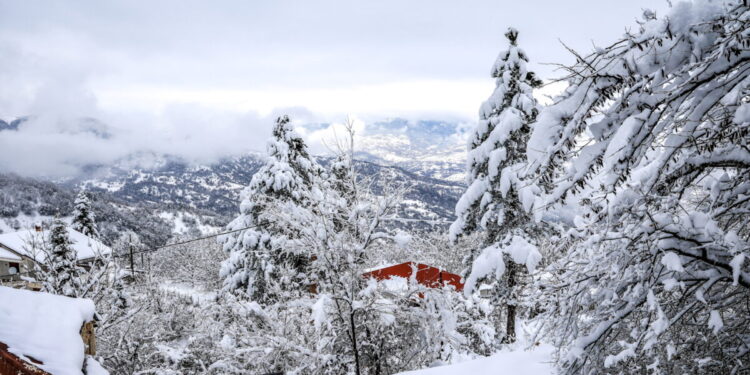 Στην «κατάψυξη» η Κεντρική Μακεδονία: Στους -8,6 η θερμοκρασία στο Οχυρό Νευροκοπίου