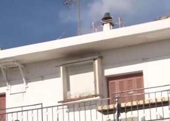 Νεκρό ζευγάρι ηλικιωμένων στο Κερατσίνι: «Οι γονείς μου ήταν οι χειρότεροι» λέει η κόρη τους