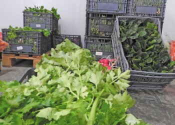 Ανάκαμψη της αγοράς κηπευτικών ενόψει Χριστουγέννων