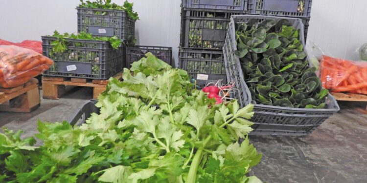 Ανάκαμψη της αγοράς κηπευτικών ενόψει Χριστουγέννων