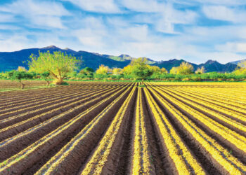 ΟΠΕΚΕΠΕ: Δέσμευση δηλώσεων στο Μέτρο 23 σε περιπτώσεις απόκλισης μεγαλύτερης των 5 στρ. – Πότε θα πληρωθούν οι ελεγχόμενοι