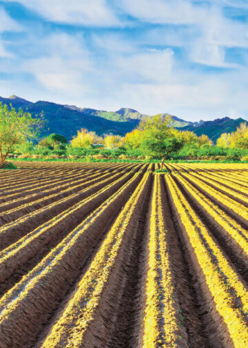 ΟΠΕΚΕΠΕ: Δέσμευση δηλώσεων στο Μέτρο 23 σε περιπτώσεις απόκλισης μεγαλύτερης των 5 στρ. – Πότε θα πληρωθούν οι ελεγχόμενοι