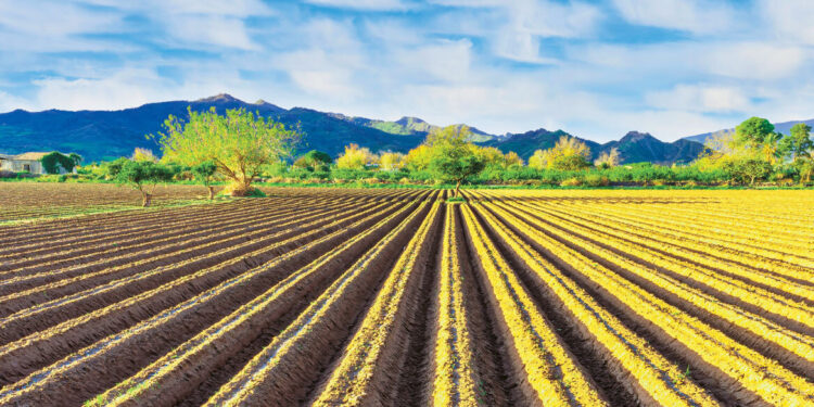 ΟΠΕΚΕΠΕ: Δέσμευση δηλώσεων στο Μέτρο 23 σε περιπτώσεις απόκλισης μεγαλύτερης των 5 στρ. – Πότε θα πληρωθούν οι ελεγχόμενοι