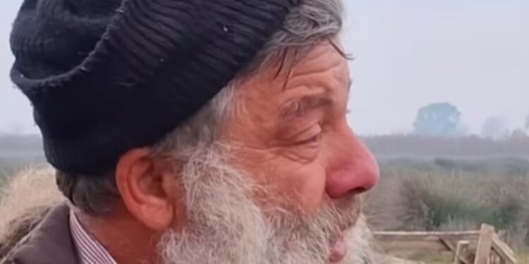 Θανάτωση 450 προβάτων ρουμλουκιού: «Δεν θα έρθουν σήμερα για τα ζώα μας» – Παράταση στην αγωνία του κτηνοτρόφου που κατέρρευσε