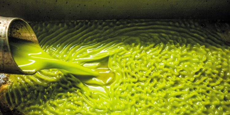 Έρευνα Olive Oil Times 2025: Με προκλήσεις, ανησυχίες, αλλά και υπόσχεση συνέχισης κλείνει το 2025 για την ελαιοκομία