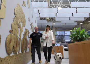 Παγκόσμια Ημέρα Αναπηρία: Η μέρα που μας υπενθυμίζει ποια κοινωνία θέλουμε να χτίσουμε