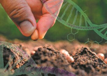 Νέες Γονιδιωματικές Τεχνικές: Τι περιλαμβάνει η νέα συμφωνία, ποιοι αντιδρούν και πώς θα εξαλειφθούν οι φόβοι των καταναλωτών