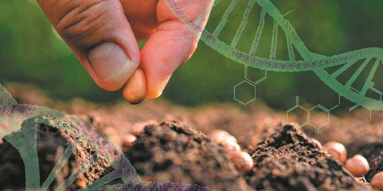 Νέες Γονιδιωματικές Τεχνικές: Τι περιλαμβάνει η νέα συμφωνία, ποιοι αντιδρούν και πώς θα εξαλειφθούν οι φόβοι των καταναλωτών