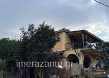 Ζάκυνθος: Αδέσποτος σκύλος που μάζεψαν οι γονείς στο σπίτι σκότωσε το 2χρονο αγοράκι