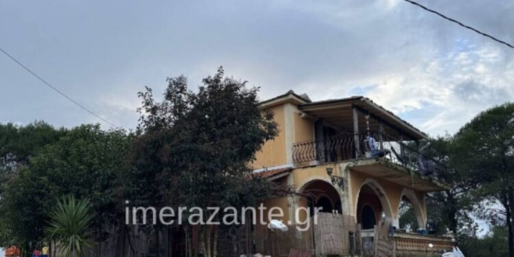 Ζάκυνθος: Αδέσποτος σκύλος που μάζεψαν οι γονείς στο σπίτι σκότωσε το 2χρονο αγοράκι