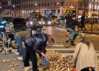 Βρυξέλλες: Μαζεύουν πατάτες από τον δρόμο μετά τις αγροτικές διαμαρτυρίες