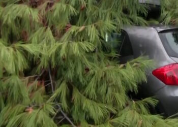 Κακοκαιρία Byron: Δέντρο καταπλάκωσε αυτοκίνητο στο Παλαιό Φάληρο