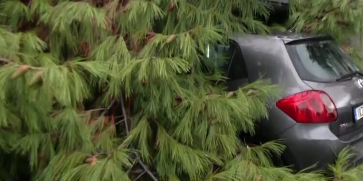 Κακοκαιρία Byron: Δέντρο καταπλάκωσε αυτοκίνητο στο Παλαιό Φάληρο