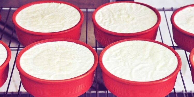 O ΕΦΕΤ ανακαλεί ελληνικό στραγγιστό γιαούρτι