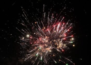 Τι είναι τα αθόρυβα πυροτεχνήματα και πως συμβάλλουν στην προστασία των ζώων