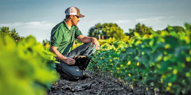 Ανανέωση γενεών στον γεωργικό τομέα της ΕΕ