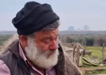 Κτηνοτρόφος αποχαιρετά με δάκρυα στα μάτια τα 450 πρόβατά του, που θα θανατωθούν λόγω της ευλογιάς – «Τα φύλαξα από την πείνα και τους λύκους»