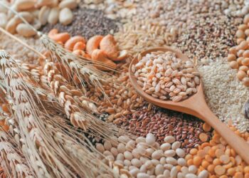 Ενισχύοντας την ευρωπαϊκή αυτάρκεια σε φυτικές πρωτεΐνες