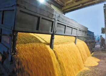 Πρωτοβουλία του Αντιπεριφερειάρχη Θεσσαλονίκης για την ανάδειξη των κινδύνων κατάρρευσης της ελληνικής παραγωγής ρυζιού