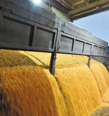 Πρωτοβουλία του Αντιπεριφερειάρχη Θεσσαλονίκης για την ανάδειξη των κινδύνων κατάρρευσης της ελληνικής παραγωγής ρυζιού