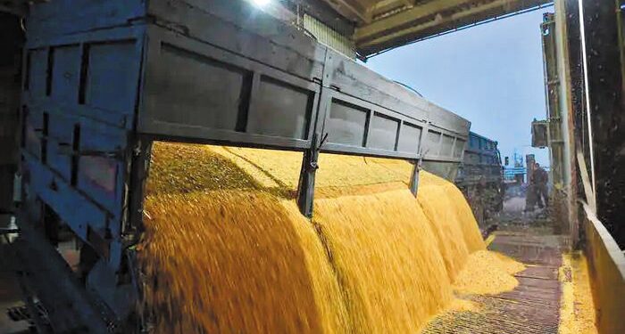 Πρωτοβουλία του Αντιπεριφερειάρχη Θεσσαλονίκης για την ανάδειξη των κινδύνων κατάρρευσης της ελληνικής παραγωγής ρυζιού