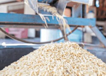 Συνάντηση ΕΔΟΡΕΛ με Έλληνες Ευρωβουλευτές για το ελληνικό ρύζι