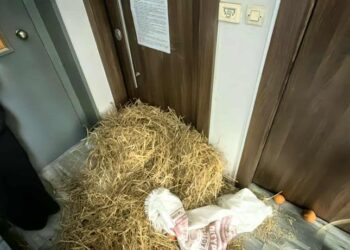 Πορεία αγροτών στο Αγρίνιο – Άφησαν πορτοκάλια, σανό και κοπριά σε γραφεία πολιτικών