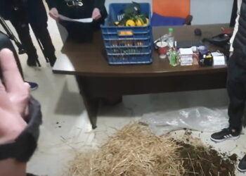 Αγρότες σε Τρίκαλα και Αγρίνιο μπούκαραν σε γραφεία γαλάζιων βουλευτών αφήνοντας σανό, κοπριά και πορτοκάλια