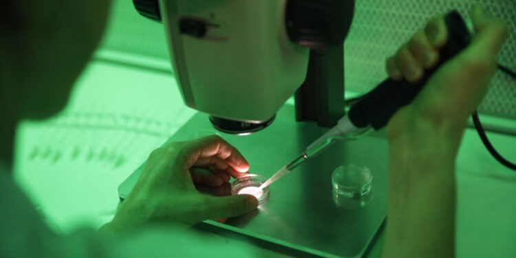 Επτά κλινικές στην Ελλάδα έλαβαν το σπέρμα του Δανού δότη με το γονίδιο καρκίνου – Εντοπίστηκαν 4 περιπτώσεις φορέων