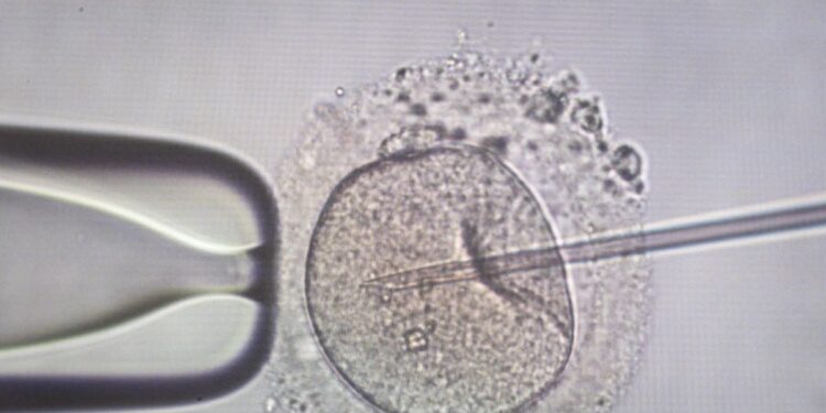 Πλημμελείς οι έλεγχοι των δοτών γενετικού υλικού πανευρωπαϊκά : «Εξακολουθούμε να παίρνουμε σπέρμα από τη Δανία»